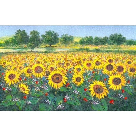 Franco Bocchi - Girasoli in Umbria